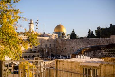 Photo Caption: Demonstrators were called to come to the holy site to 'show respect to the paratroopers who liberated the Western Wall.' (Nechama Nafisi)